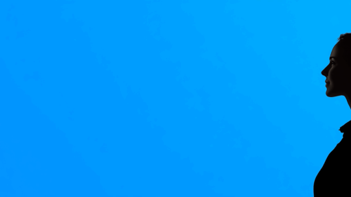 what-states-allow-online-notary-in-2024