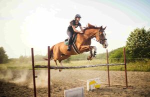 Untapped Notary Markets: Equine