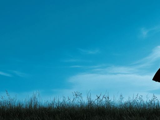 how-to-find-ein-number